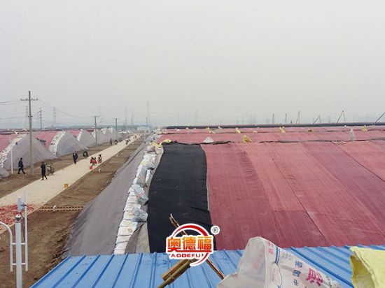 點擊查看詳細信息<br>標題：生態(tài)大棚外景 閱讀次數(shù)：6858