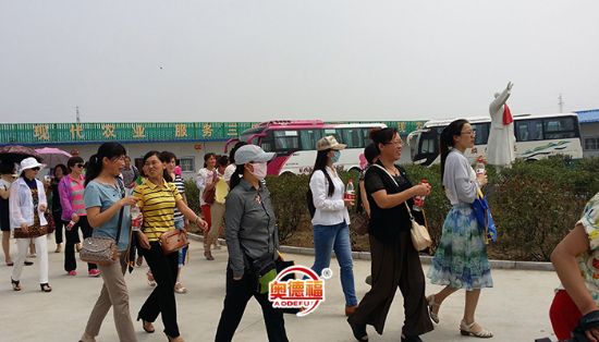 點擊查看詳細信息<br>標題：縣婦聯(lián)來采摘 閱讀次數(shù)：6477