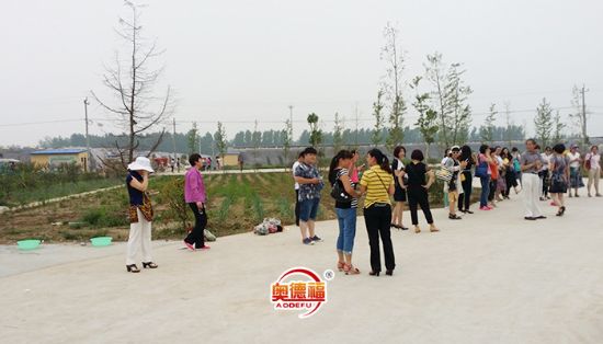 點擊查看詳細信息<br>標題：縣婦聯(lián)來采摘 閱讀次數(shù)：6477