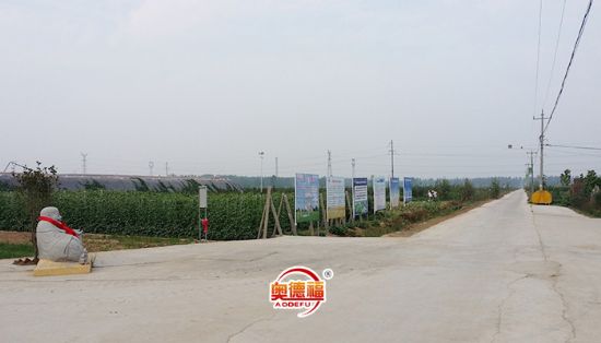 點擊查看詳細信息<br>標題：德福一角 閱讀次數(shù)：6600
