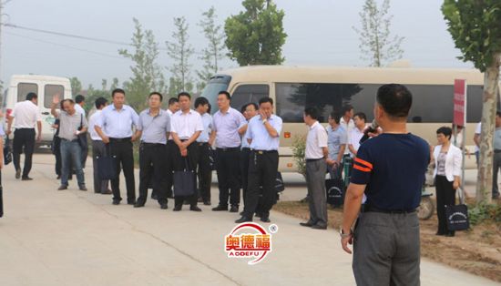 點擊查看詳細信息<br>標題：市領導來指導工作 閱讀次數(shù)：6245