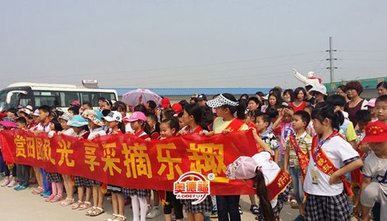 點擊查看詳細信息<br>標題：采摘團 閱讀次數(shù)：6549